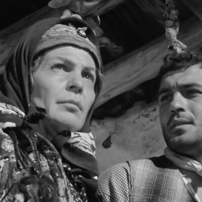 Seçenek numarası görseli 2